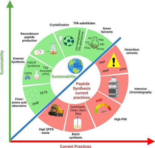 Graphic showing current vs. sustainable practices in peptide synthesis